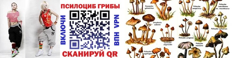 Купить закладки  Донецк  Галлюциногенные грибы GOLDEN TEACHER 